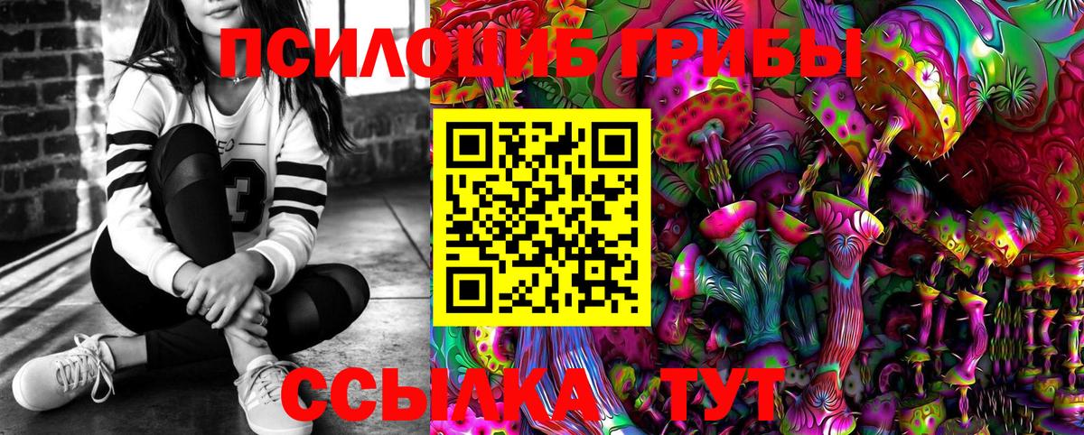 Кольчугино  Галлюциногенные грибы Psilocybine cubensis  Вход с VPN 